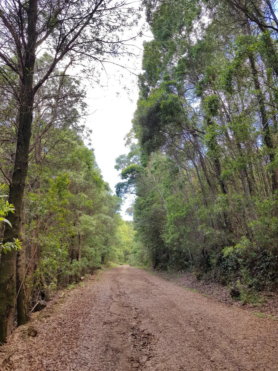 Senhora da Peninha Sintra